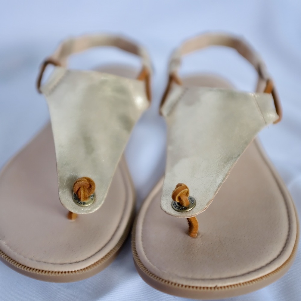 Sperry Calla Jade Platinum Sandals